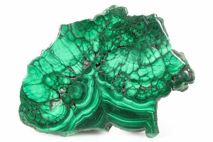 Flowery Polished Malachite Slab - DR Congo #266794